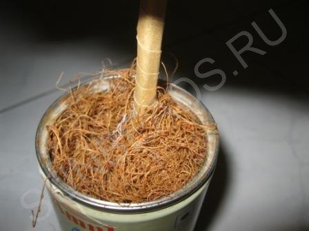 Мастер-класс