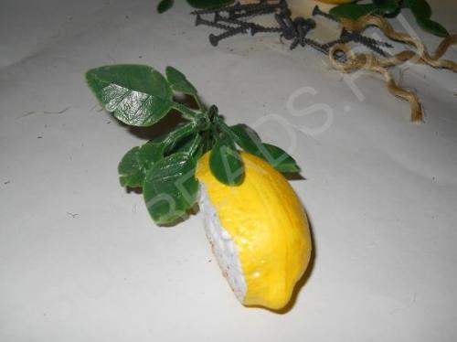 Мастер-класс