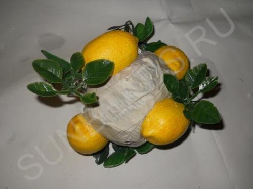 Мастер-класс