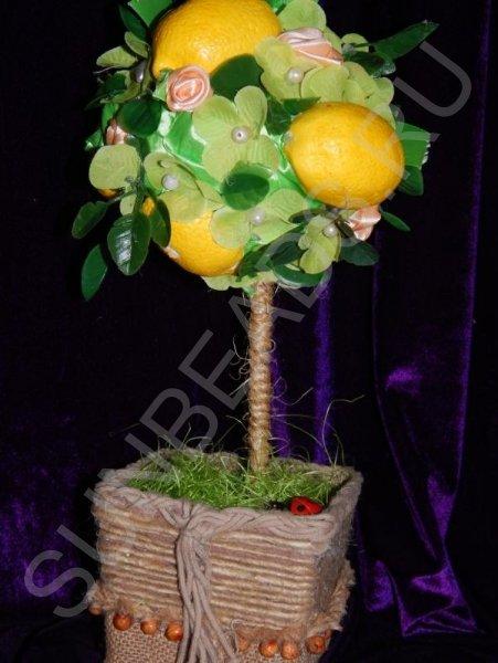 Мастер-класс