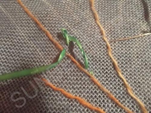 Мастер-класс