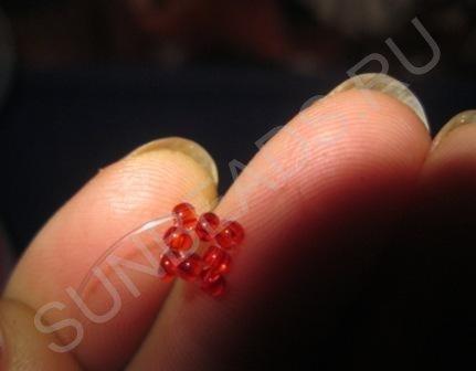 Мастер-класс