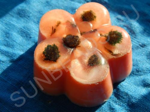 Мастер-класс