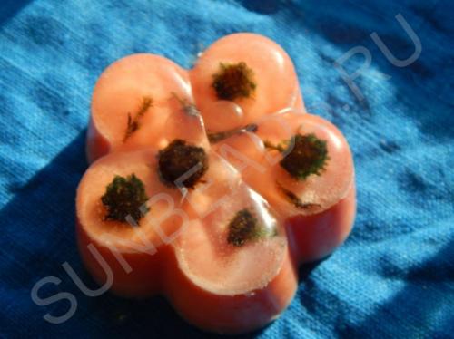 Мастер-класс