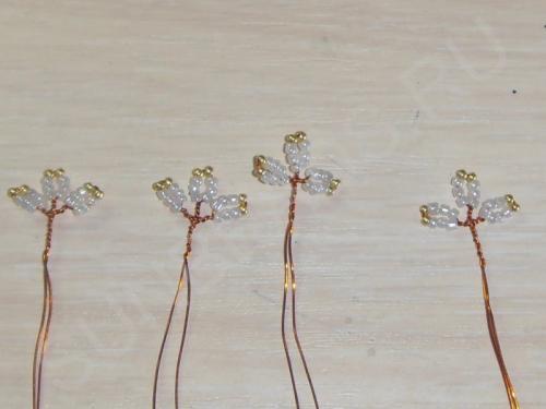 Мастер-класс