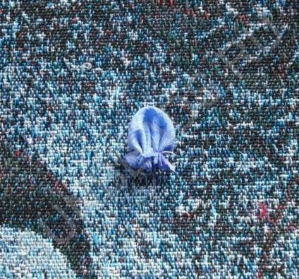 Мастер-класс