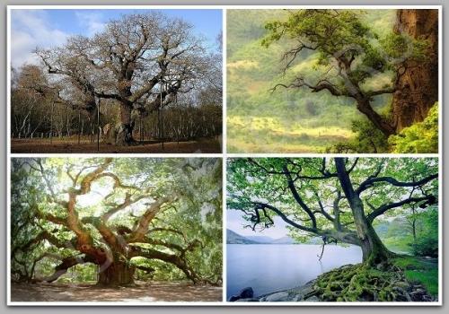 Мастер-класс