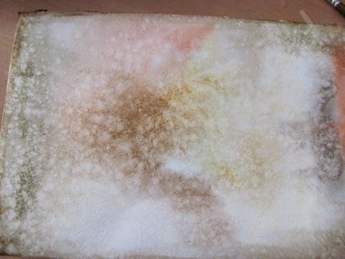 Мастер-класс