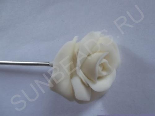 Мастер-класс