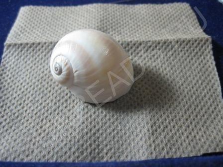 Мастер-класс