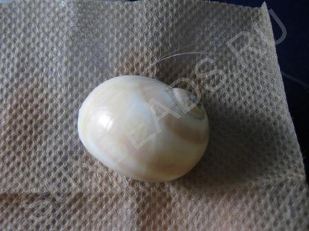 Мастер-класс