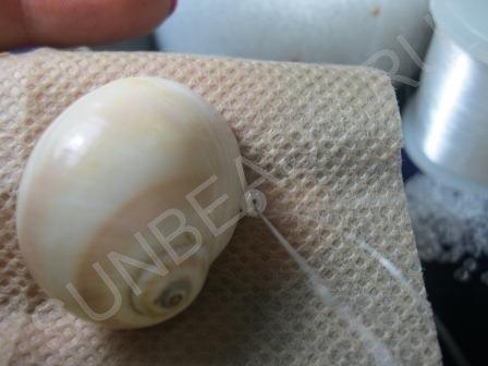 Мастер-класс