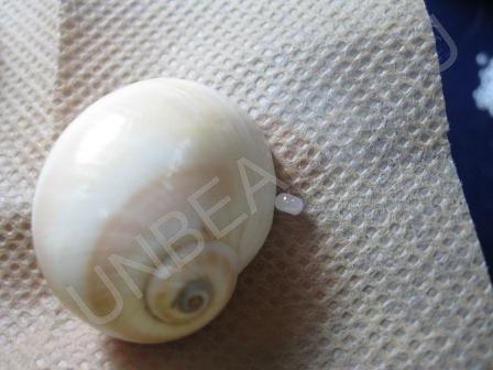 Мастер-класс