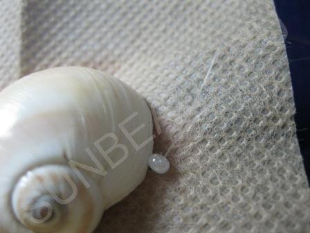 Мастер-класс