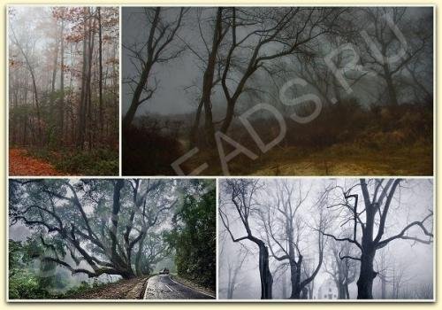 Мастер-класс