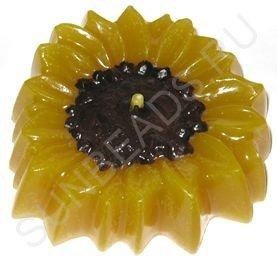 Мастер-класс