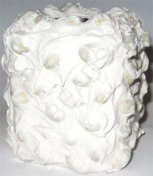 Мастер-класс