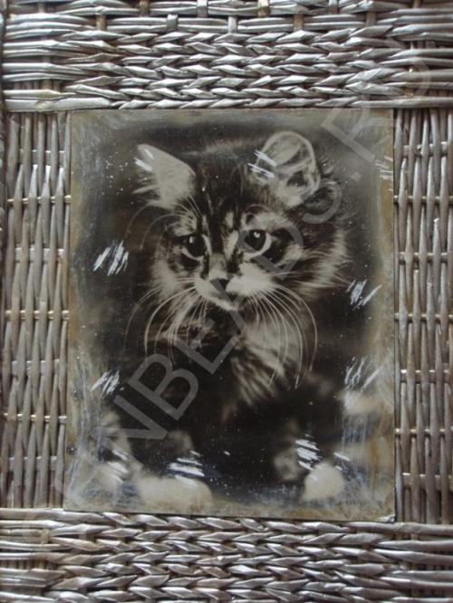 Мастер-класс