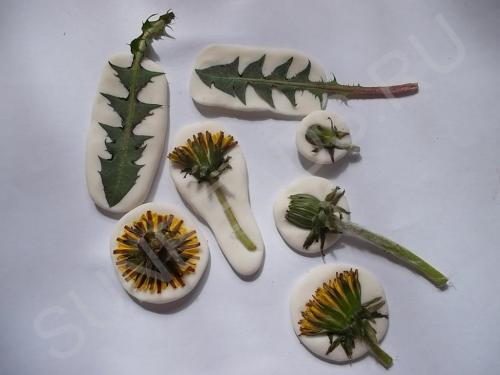 Мастер-класс