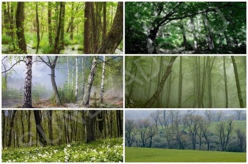 Мастер-класс