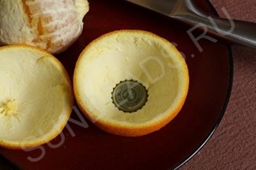 Мастер-класс