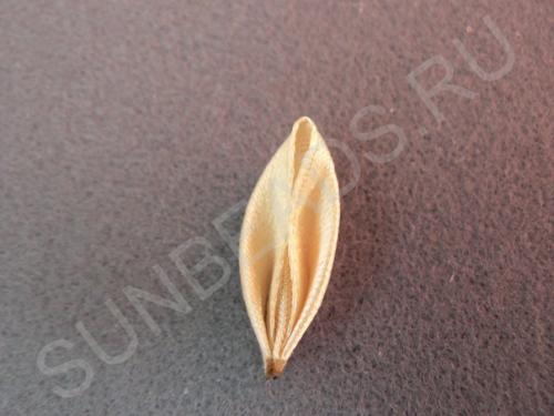 Мастер-класс