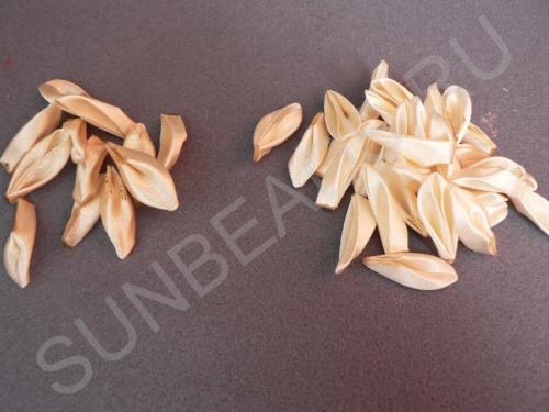 Мастер-класс