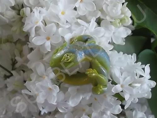 Мастер-класс