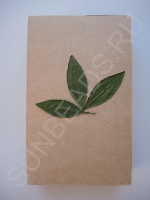 Мастер-класс